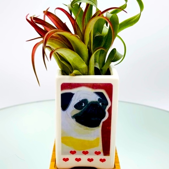 PUG DOG Art Hand Crafted Home Decor Planter Office Desktop Organizers Pets Gifts - Picture 12 of 12